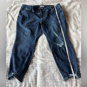 Lane Bryant Distressed Blue skinny Jeans
